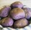 Picture of Ube Cheese Pandesal