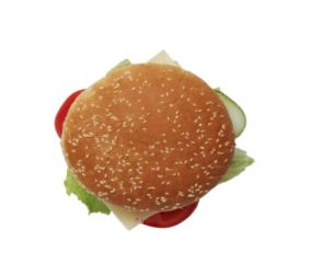 Picture of Classic Shawarma Burger