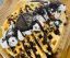 Picture of Cookies and Cream Waffle 