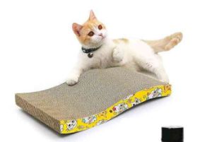 Picture of Cat Scratch Pad