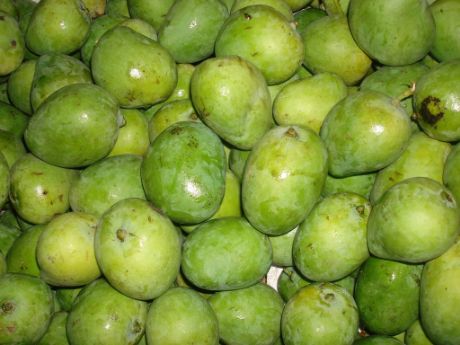 Picture of Indian Mango 