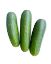 Picture of Pipino
