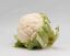 Picture of Cauliflower