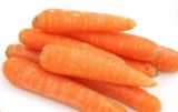 Picture of Carrots