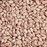 Picture of Uyas Balatong (Per Pack)