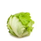 Picture of Iceberg Lettuce 