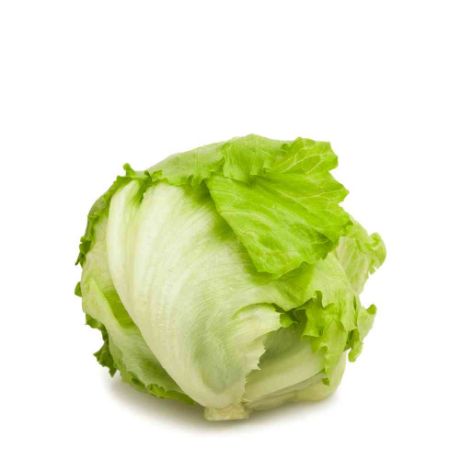 Picture of Iceberg Lettuce 