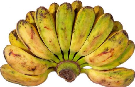 Picture of Saging Saba BIG (3 FOR 25)