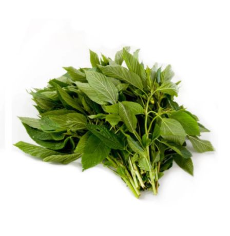 Picture of Tugabang / Saluyot (Per Bugkos)