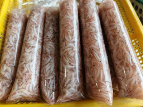 Picture of  Bisaya Ginamos (Per Pack)