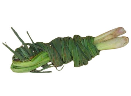 Picture of Tanglad 2 for 5 pesos