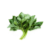 Picture of Saluyot (Per bundle)