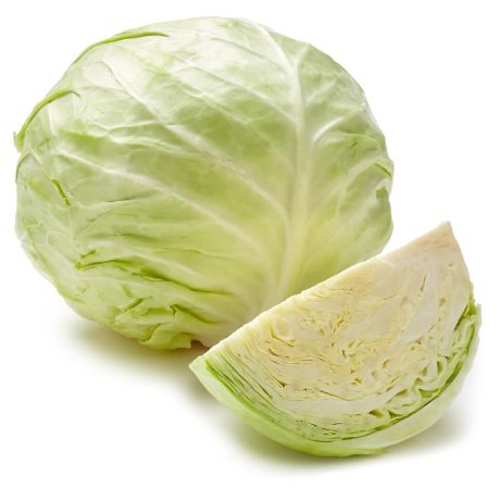 Picture of Cabbage
