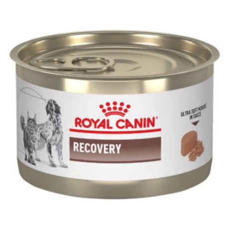 Royal Canin Recovery