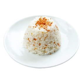 Garlic Rice