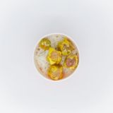 Pork & Beef Siomai with Rice