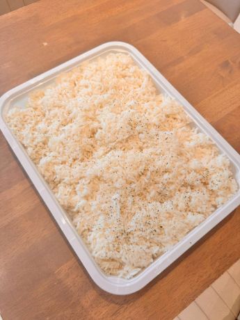 Plain Rice
