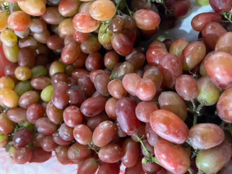 Picture of Grapes (1/4kl)